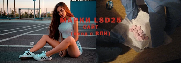 индика Балахна