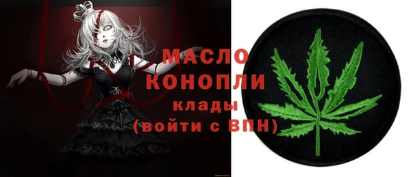 индика Балахна