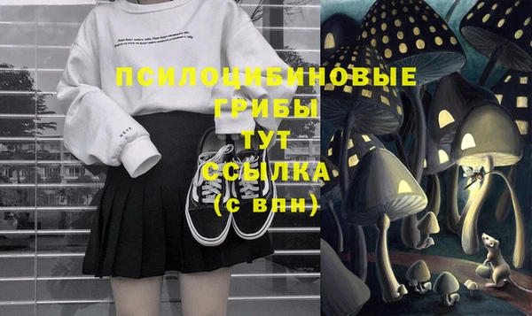индика Балахна
