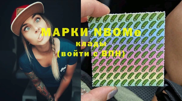 индика Балахна