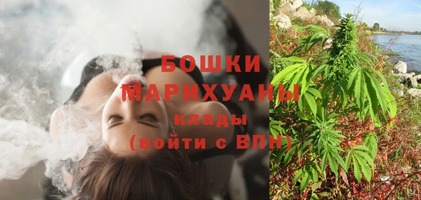 индика Балахна