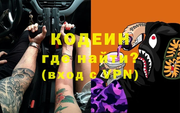 индика Балахна