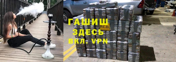 индика Балахна