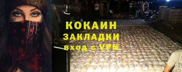 индика Балахна
