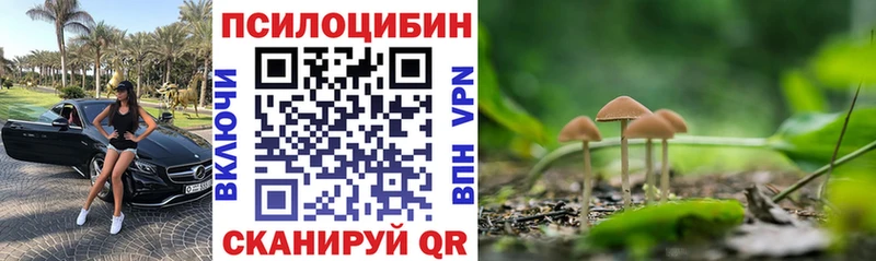 купить наркотики сайты  Сысерть  Галлюциногенные грибы прущие грибы 